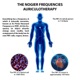 The Nogier Frequencies Auriculotherapy