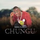Chungu Tamu feat Chidi Beenz Single