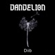 Dandelion Single