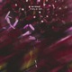Field EP