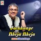 Jochhnaye Bheja Bheja Single