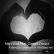 Falling in Love feat Darian Crouse Single