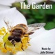 The Garden Single