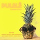 Pulelê Summer Edition feat Gaby Amarantos Single