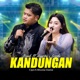 Kandungan feat Anggritna Single