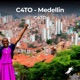 Medellin Single
