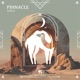 Pinnacle Single