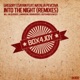 Into the Night Remixes feat Natalia Pevcova EP