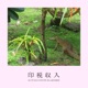印税収入 Single