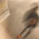 New Stunts Single