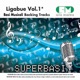 Basi Musicali Ligabue Vol 1 Versione Karaoke