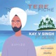 Tere Piche feat Dilraj Single