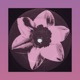 Howl n Sophie Single