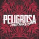 Peligrosa Single
