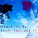 Meant to Be feat Secluded Single