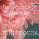 Reflections of the Sun Single