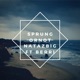 Sprung Or Not feat Berri Single