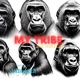 My Tribe feat J s BeatZ Single