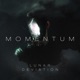 Momentum Single