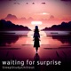 Waiting for Surprise Single