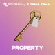 Property Single