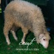 Ccuti Single