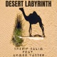Desert Labyrinth feat Ahmed Yasser Single
