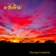 Flying Freedom Single