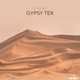 Gipsy Tek Single