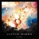 Little Birds Single
