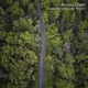 Sunday Drive Single