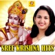 Sree Krishna Hits