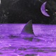 Shark Single