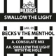 Swallow the Light Single