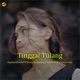 Tinggal Tulang feat Noldy Domaking Andre TMK AztoosGila Single