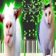 Goat Cat Huh Meme Remix 8d Audio Single