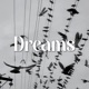 Dreams Single