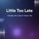 Little Too Late feat Tshepi Tee Single