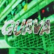 Guava Single