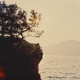 Half Moon Bay Single