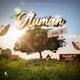 Human Single