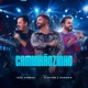 Caminhãozinho Ao Vivo Single