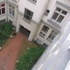 Backyard Single