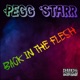 Back In the Flesh Single
