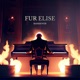 Für Elise Single
