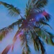 Each summer s habit Single