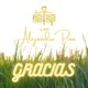 Gracias feat Alejandro Pino Single