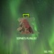 Sophie s Playlist Single