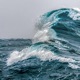 The Wave Single
