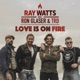 Love Is on Fire feat Ron Glaser The Ridin Dudes Single